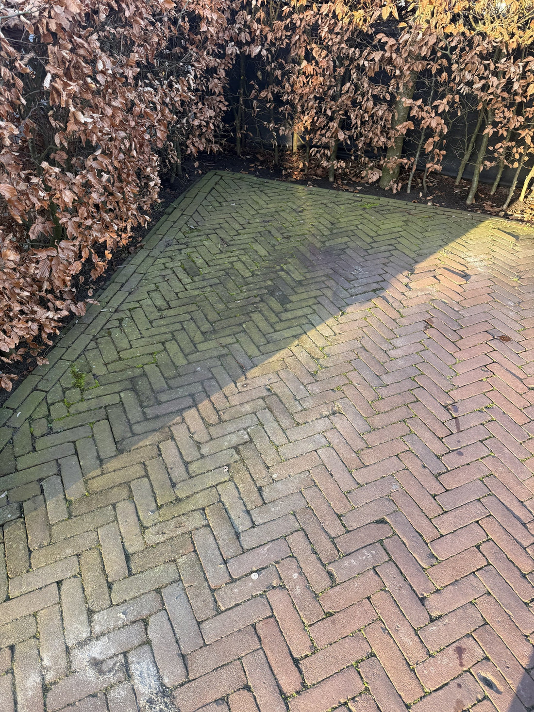 Waarom reinigen alleen niet genoeg is: het verschil tussen schoon en beschermd